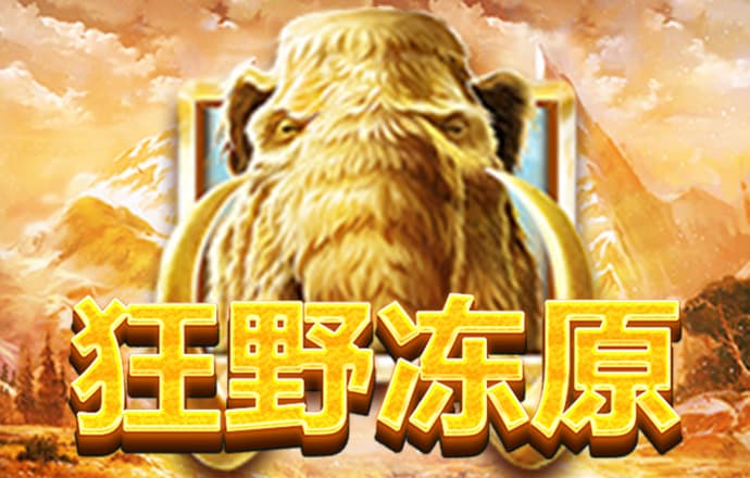 355娱乐彩票app安卓版使用方法